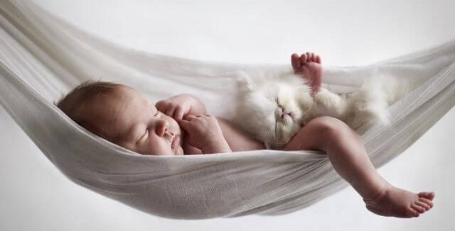 De quantas horas de sono um bebê precisa entre dia e noite?